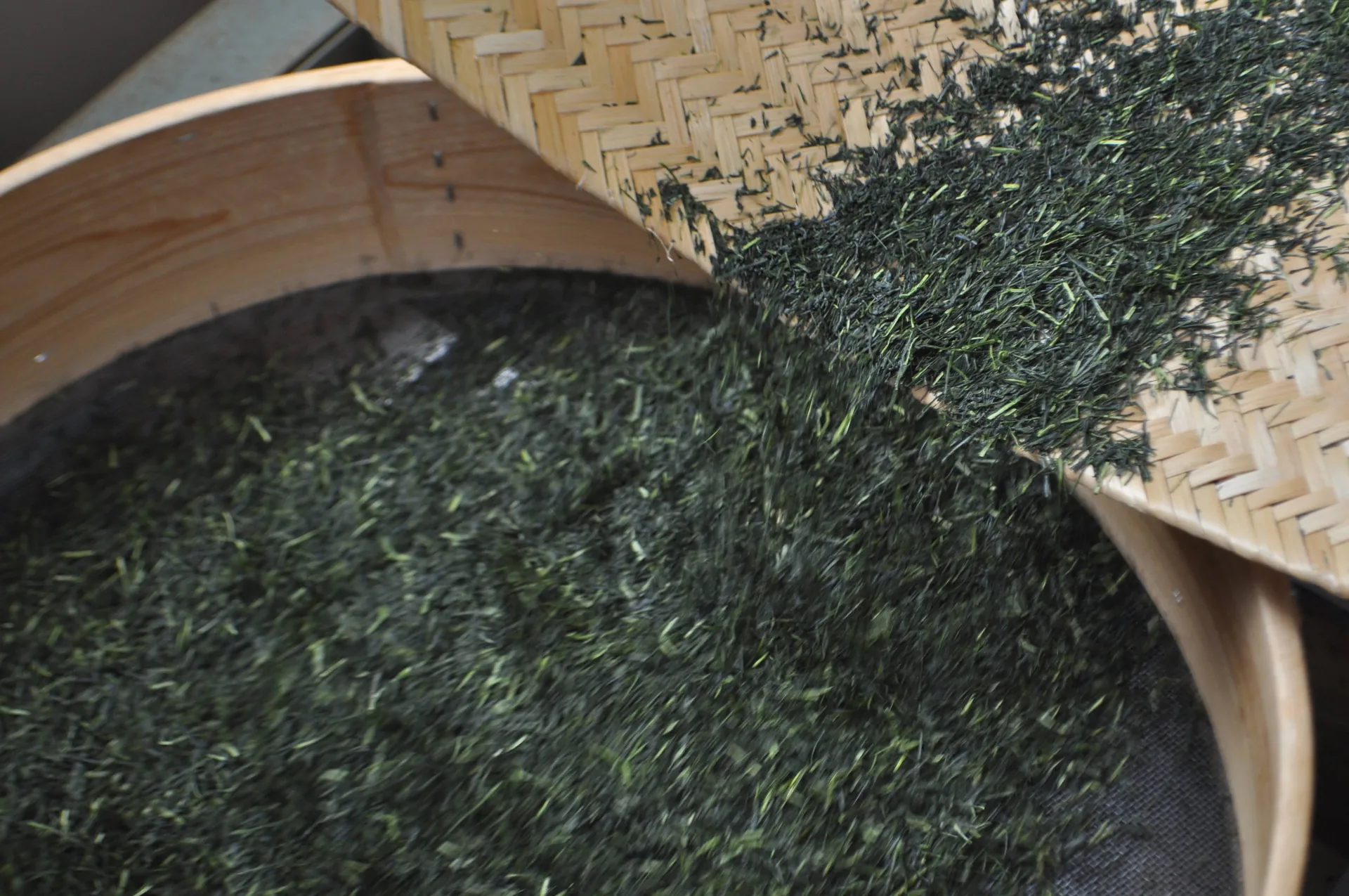 Hand-sifting deep-steamed Japanese sencha leaf in a bamboo winnowing tray — Nagamine Seicha, Yaizu, Shizuoka