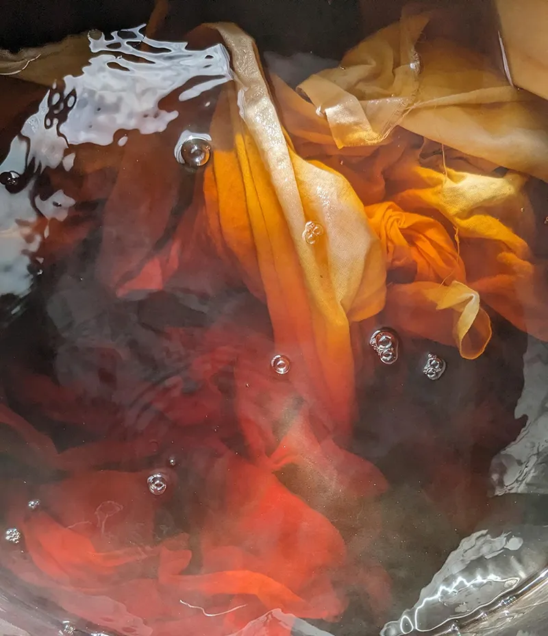 Tea dyeing process — natural fabric dyeing with Takakusa-yama tea leaves and branches